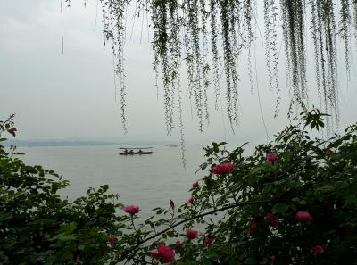 P1090936 50191411332 O