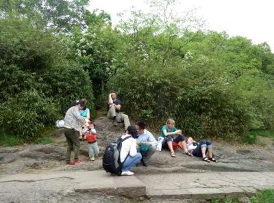 P1090940 50190605073 O