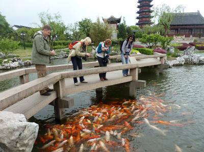 P1100136 50190599898 O