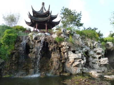 P1100174 50190665333 O