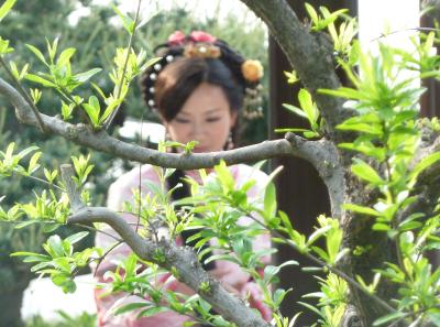 P1100190 50190664798 O