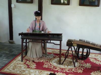 P1100253 50190663338 O