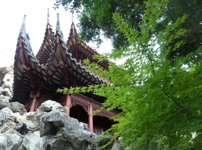 P1100336 50190659638 O