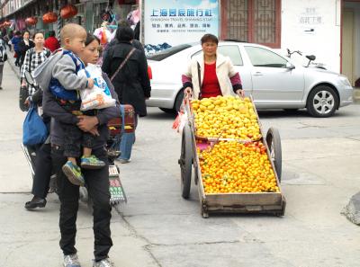 P4125606 50190655948 O