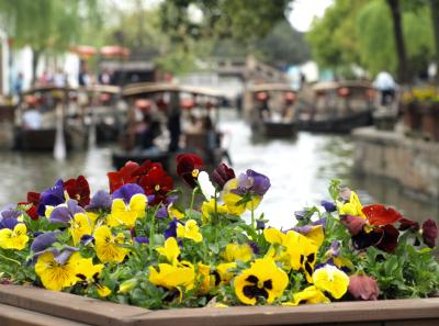 P4125619 50191200241 O