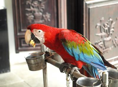 P4125623 50191459487 O