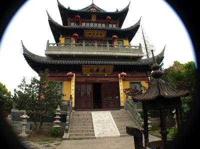 P4125642 50191198441 O