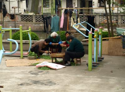 P4125646 50190652598 O