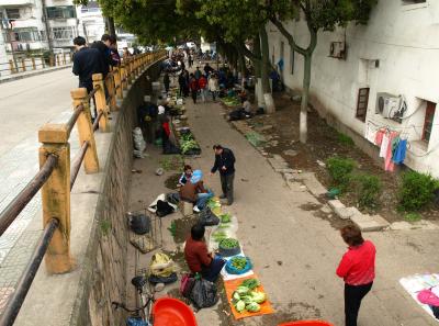 P4125650 50191457112 O