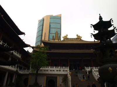 P4135761 50191193981 O