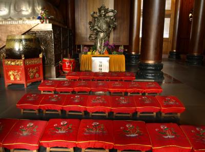 P4135776 50191452892 O