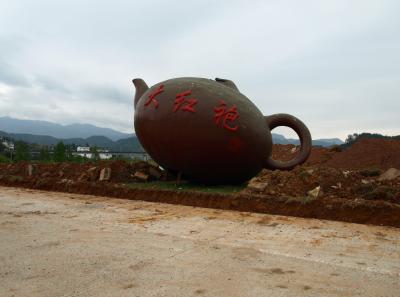 P4145807 50190645178 O