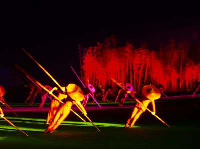 P4145862 50191189296 O