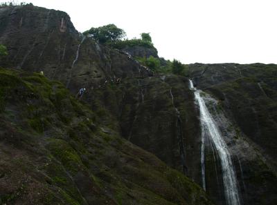 P4155892 50190642608 O