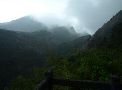 P4155904 50190641118 O