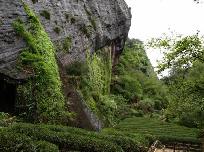 P4165917 50191445682 O