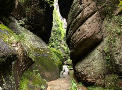 P4165919 50191445422 O