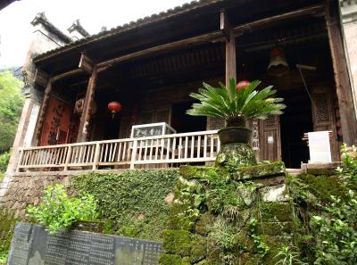 P4165923 50191445227 O