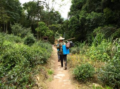 P4165926 50191185166 O