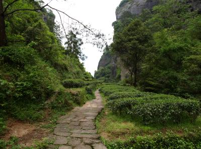 P4165927 50190639198 O