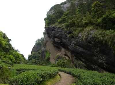 P4165928 50190639043 O