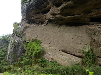 P4165929 50191444612 O