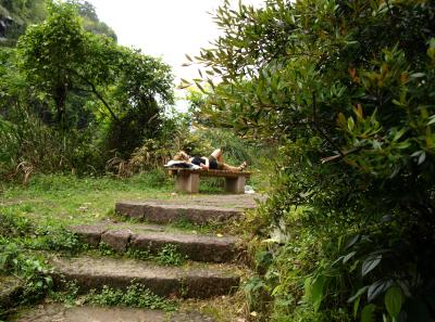 P4165934 50190638438 O