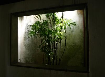 P4225992 50191403482 O