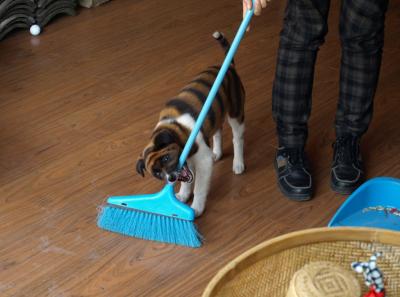 China0081034 Jpg 16446995491 O