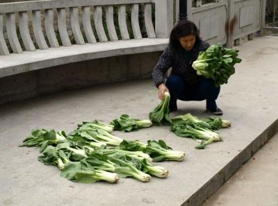 China0081054 Jpg 16261070838 O