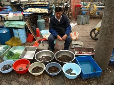 China0081083 Jpg 16447814022 O