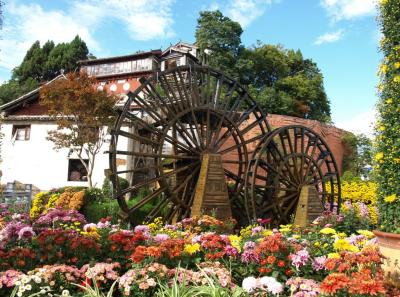 China0081124 Jpg 16262503159 O