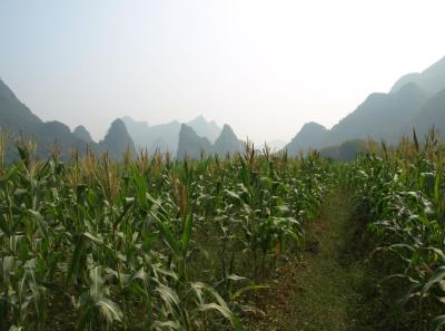 China0081154 Jpg 16422764226 O