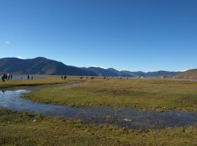 China0081178 Jpg 15826245404 O