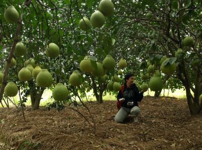 China0081189 Jpg 15828705683 O