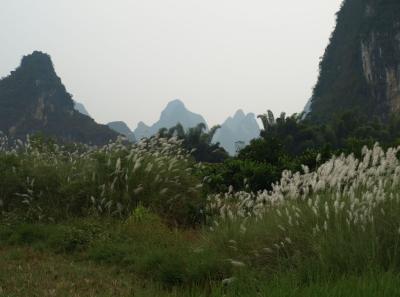 China0081190 Jpg 16448784605 O