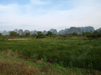 China0081220 Jpg 16262517559 O