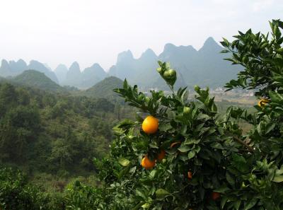 China0081223 Jpg 15828680403 O