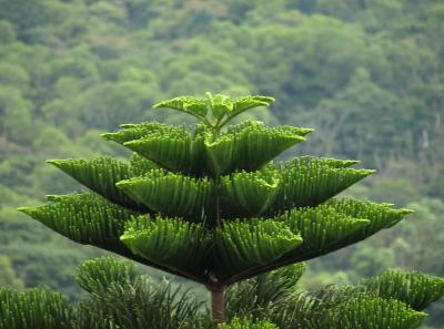 Pa123101 9254293929 O