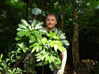 Pa123115 9254292543 O