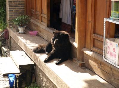 Pa143185 9257067726 O