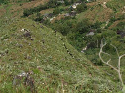 Pa163410 9254248855 O