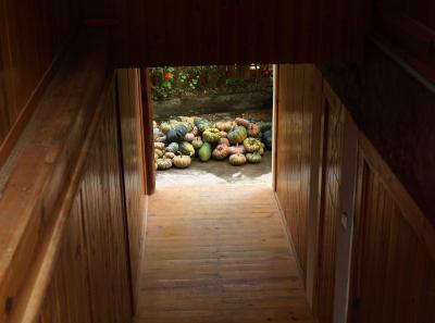 Pa163425 9257027786 O