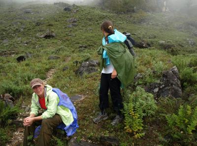 Pa173450 9254242261 O