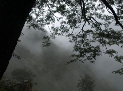 Pa173456 9257022176 O