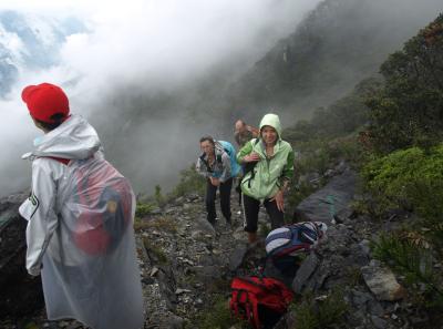 Pa173473 9257020382 O