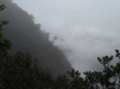 Pa173485 9257019268 O