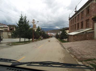 Pa193525 9254229195 O