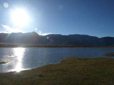 Pa203636 9254208169 O