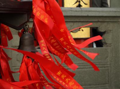 P4025848 16381619960 O